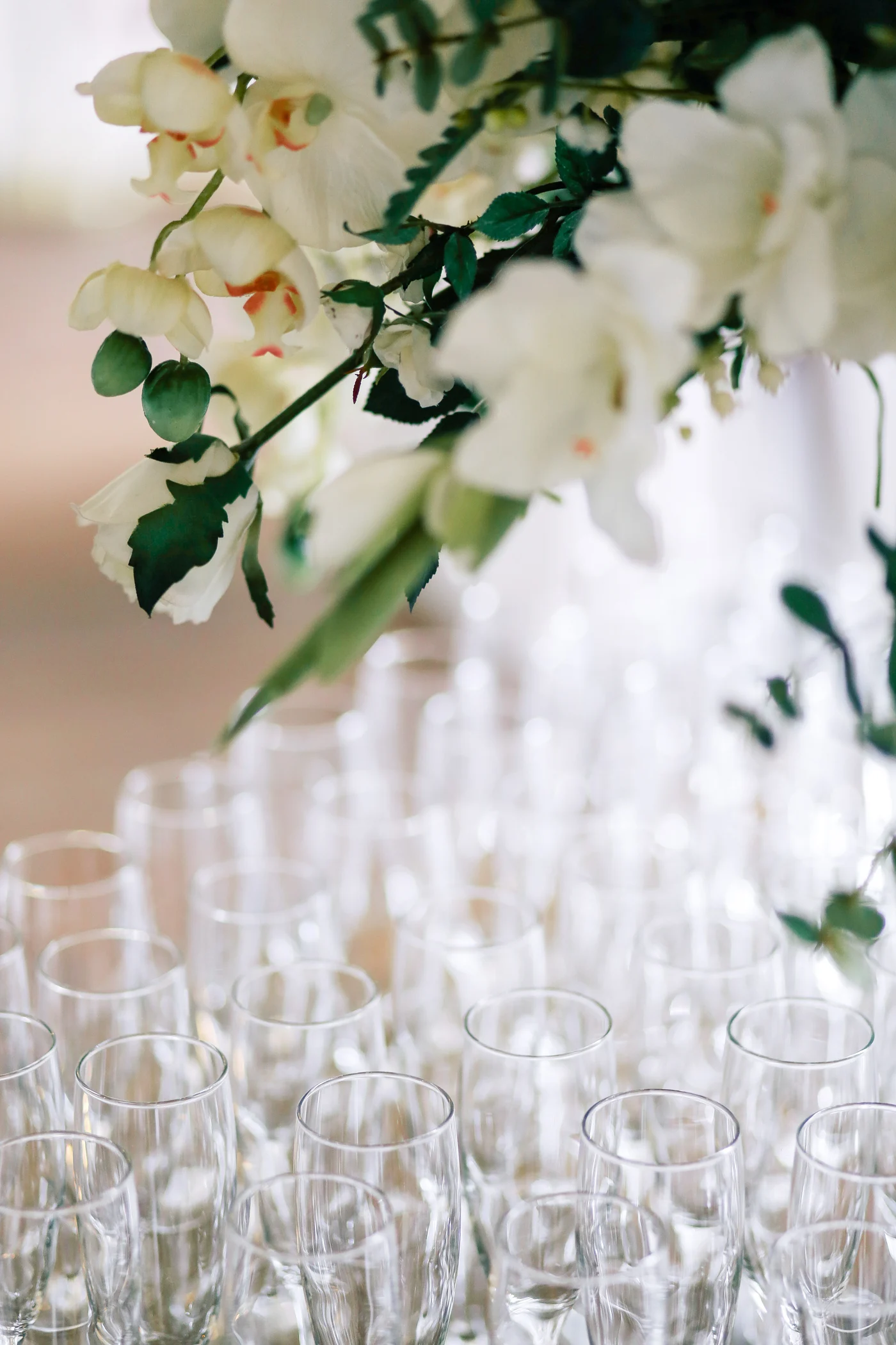 White orchids above champagne glasses